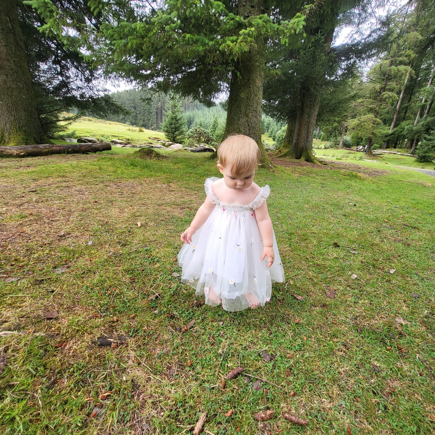 Amara Dress (5 to 9 working days delivery time)